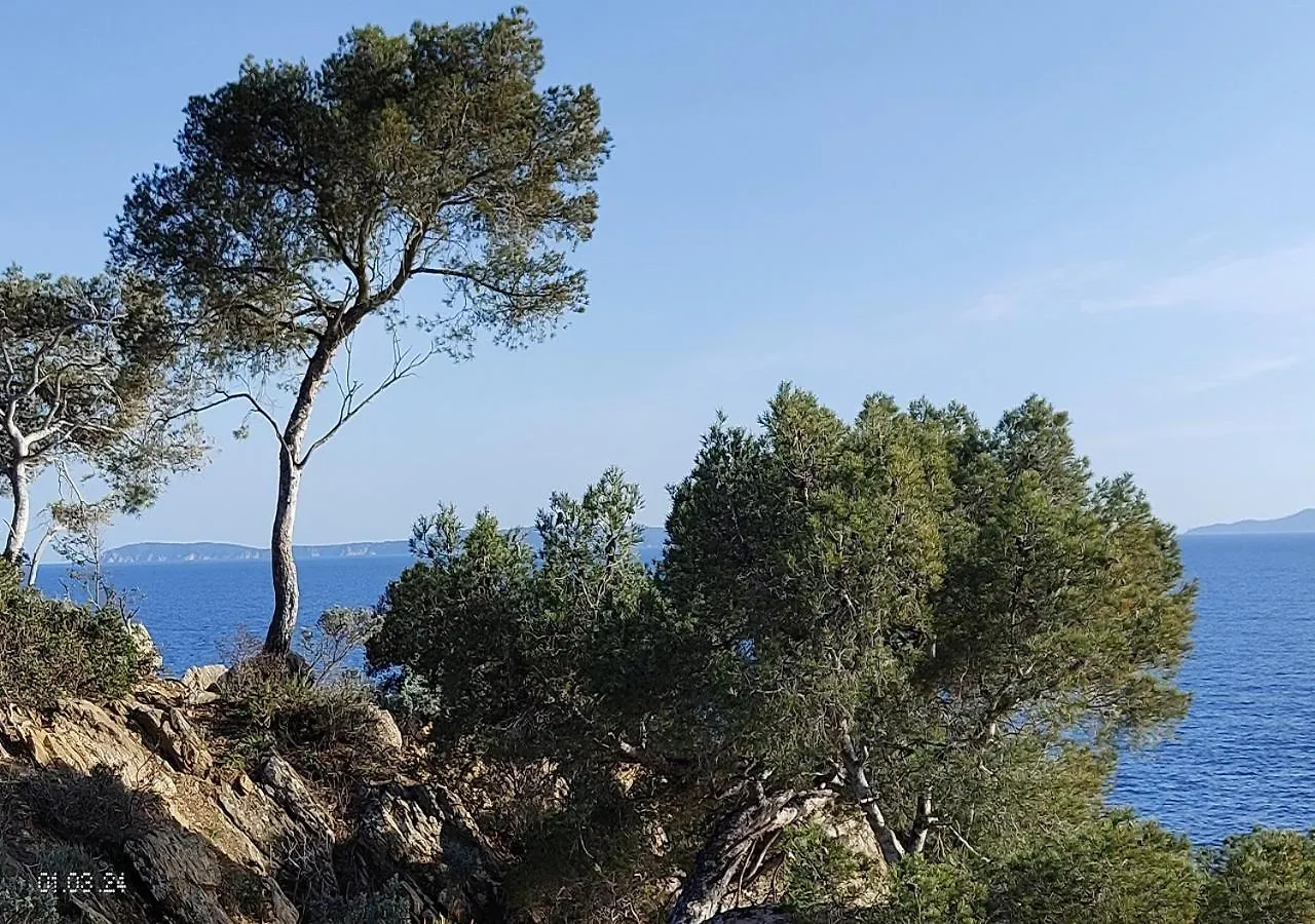 T3, 2Ch, Classe 3,Parking Gratuit Sur Place A 600M De La Plage, Des Commerces ,Du Port Proche St Tropez Cavalaire-sur-Mer 0*,